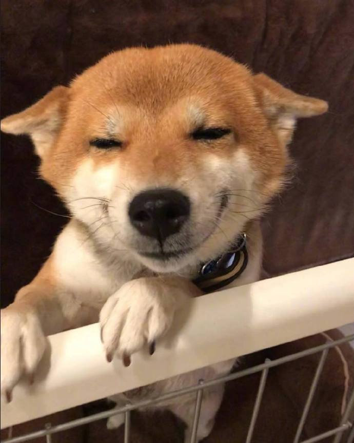 这狗子的笑什么水平 zt