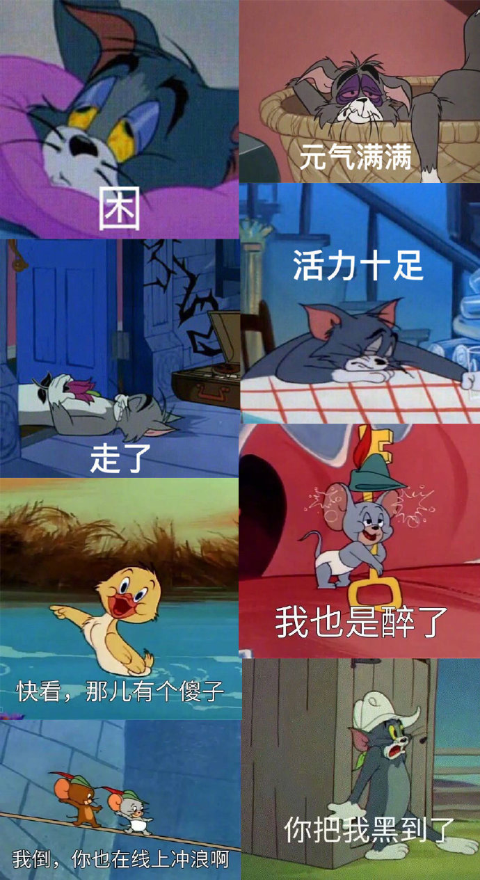 一组超搞笑的猫和老鼠表情包 zt