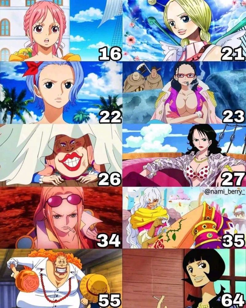 《海贼王》所有女角色年龄一览,你们家女神几岁 zt