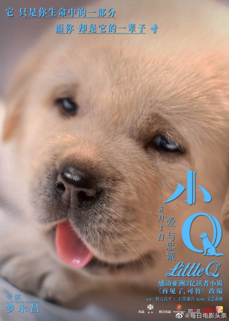 电影小q拉布拉多犬小奶狗海报,这是认真的吗? zt