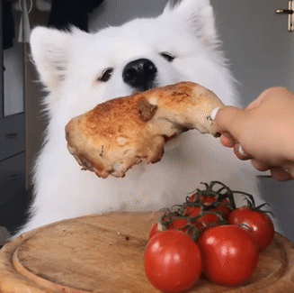 327_325gif 动态图 动图