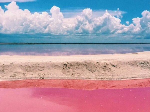 一波塞内加尔玫瑰湖的美照你喜欢吗? zt