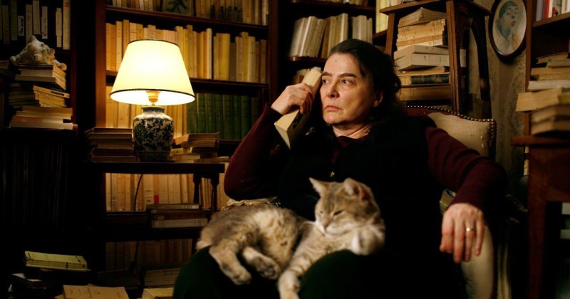 经典电影《刺猬的优雅》:只有对的人,才会让你卸下铠甲 zt