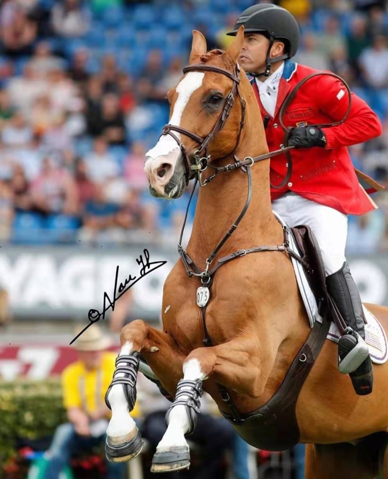 马迷的狂欢——亚琛世界马术节 zt