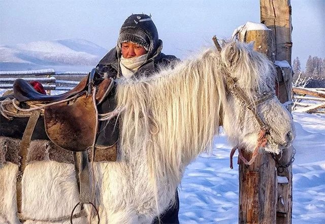 西伯利亚的守望者——雅库特马 zt