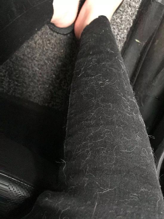 猫掉毛可以让人崩溃到什么地步? zt