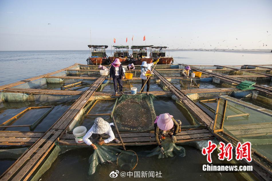 一大波鄱阳湖青虾即将上市中国最大淡水湖秋日捕捞忙zt