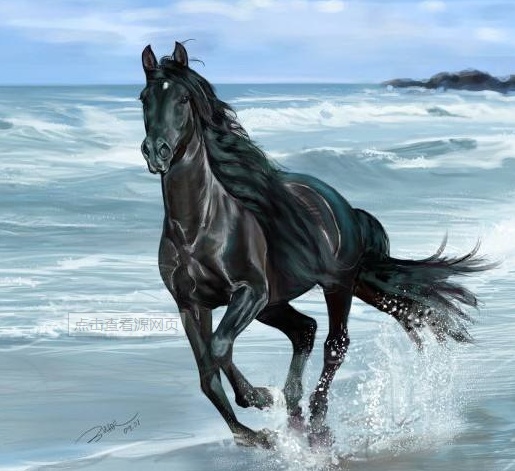 一组马儿的奔跑图,你是不是喜欢上了奔跑的感觉? zt_虎扑