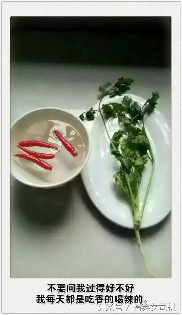 每天都吃香喝辣,问下我的生活如何呢