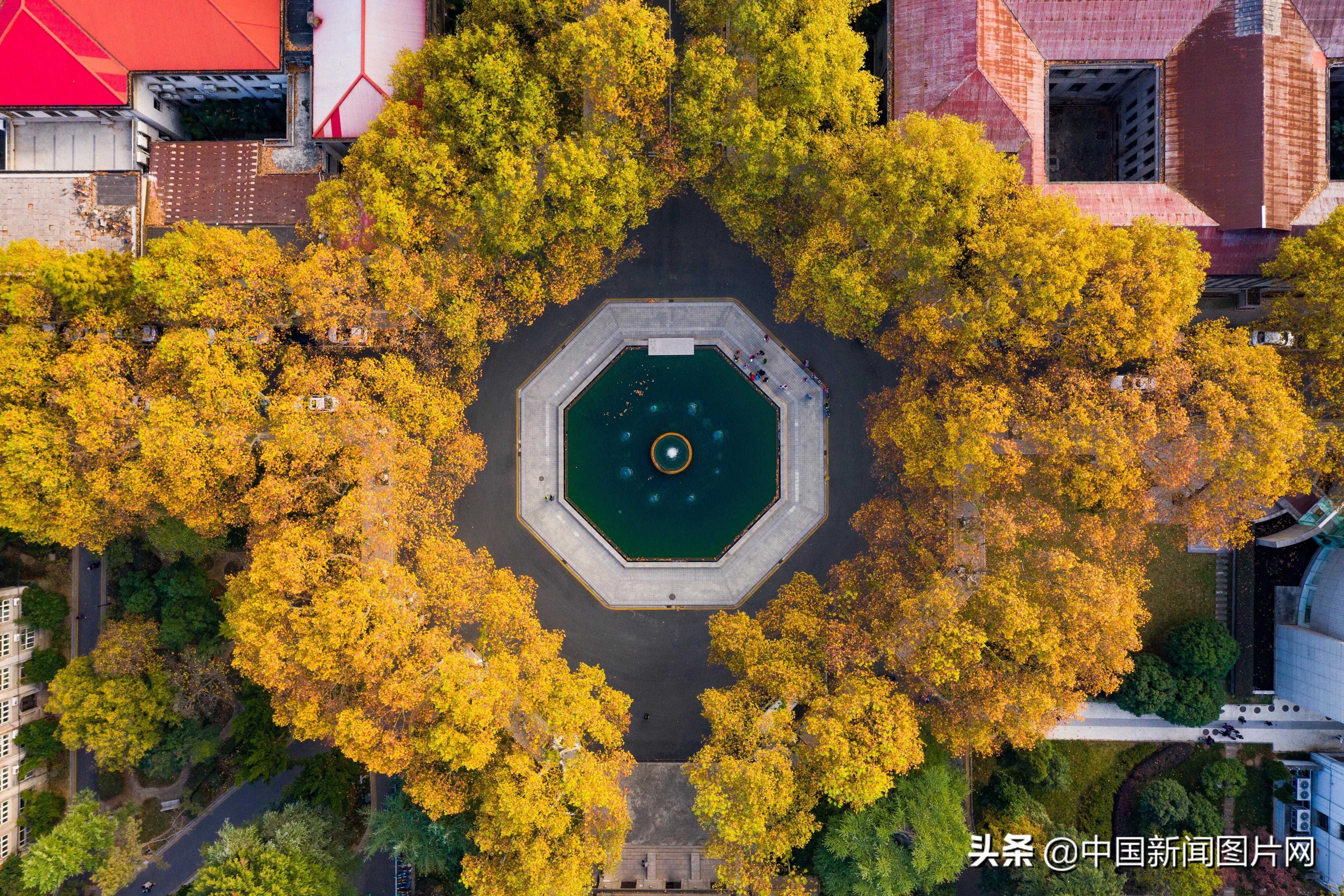 南京东南大学秋意浓 这景色jrs怎么看zt 步行街主干道 虎扑社区