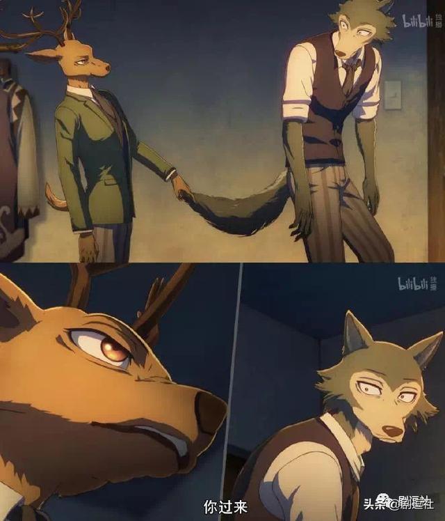 《动物狂想曲》这部动漫,各位觉得怎么样? zt