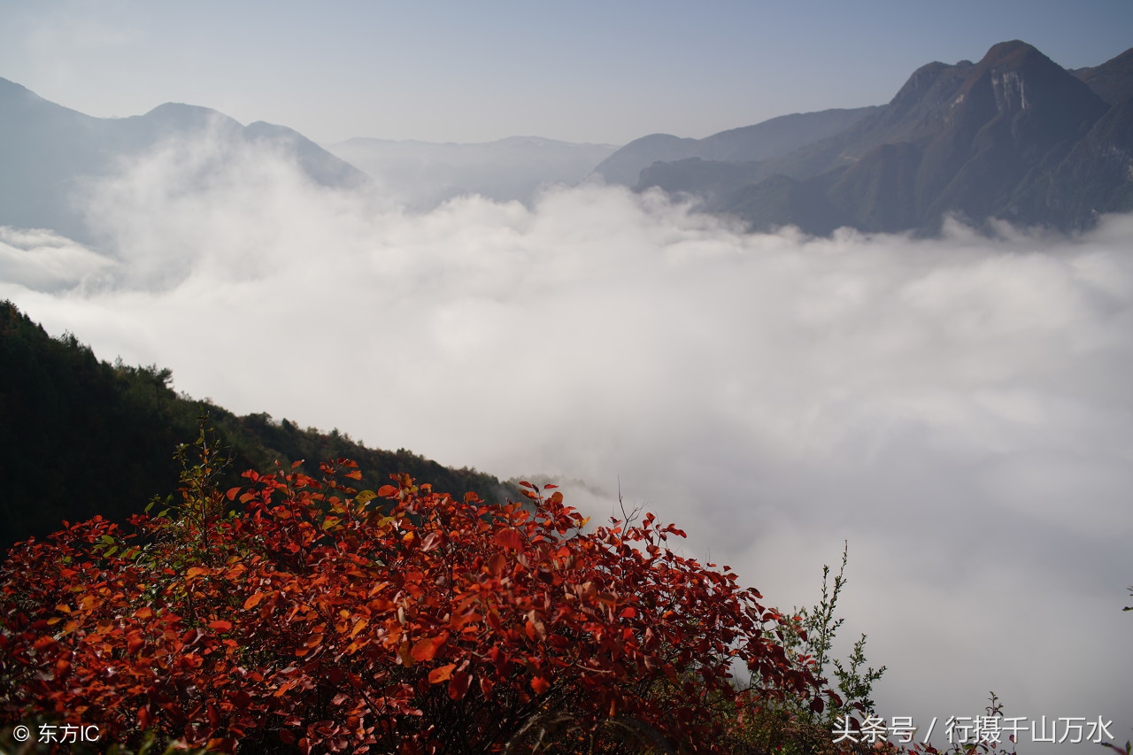 三峡红叶红 群山秋意浓zt 啥破图都有 虎扑社区