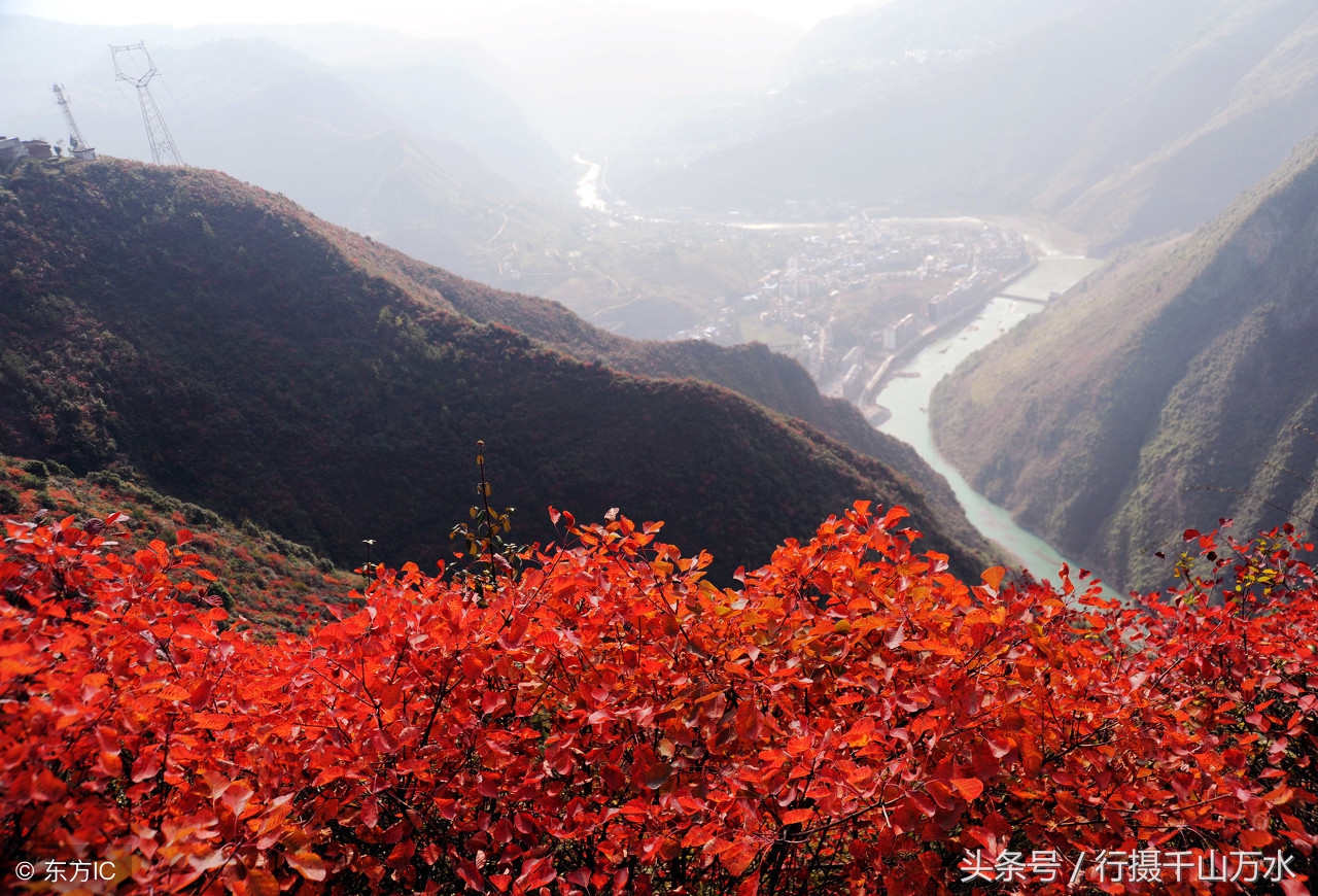 三峡红叶红 群山秋意浓zt 啥破图都有 虎扑社区