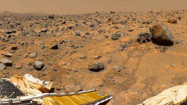 美科学家发现火星昆虫,火星上真会有生命存在吗?这样一看就知道