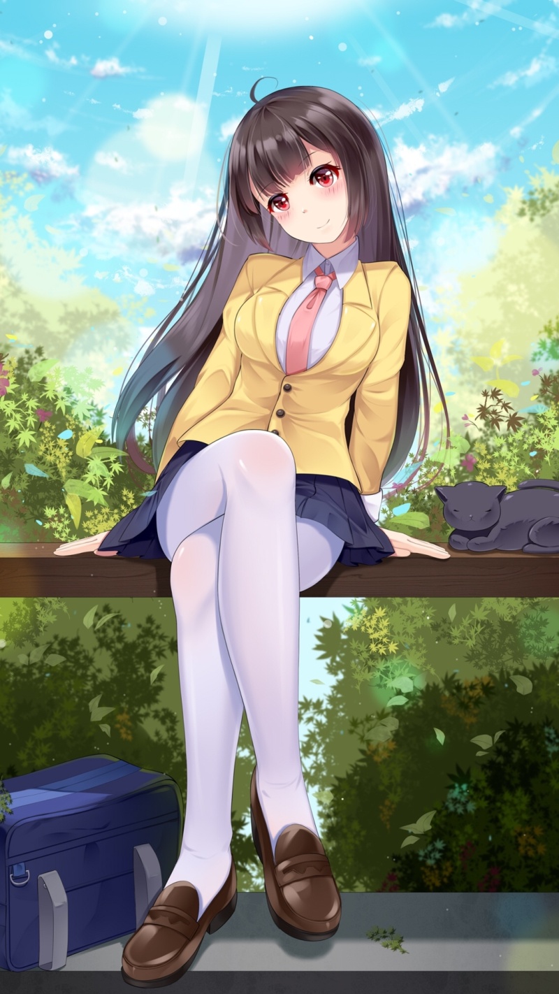 二次元 黑丝~白丝~腿系列美图 zt