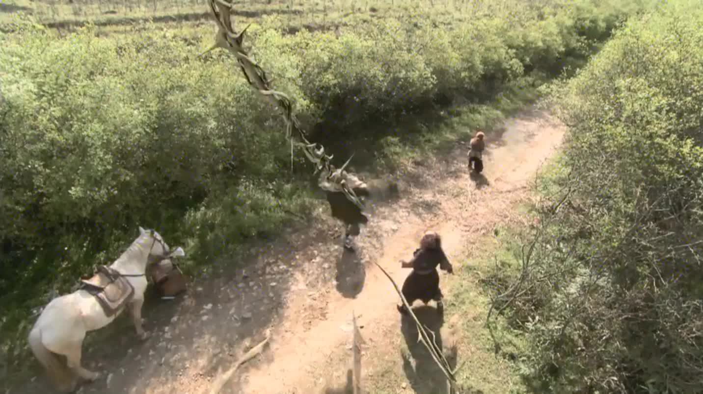 唐僧师徒误入荆棘林被荆棘捆绑起来zt