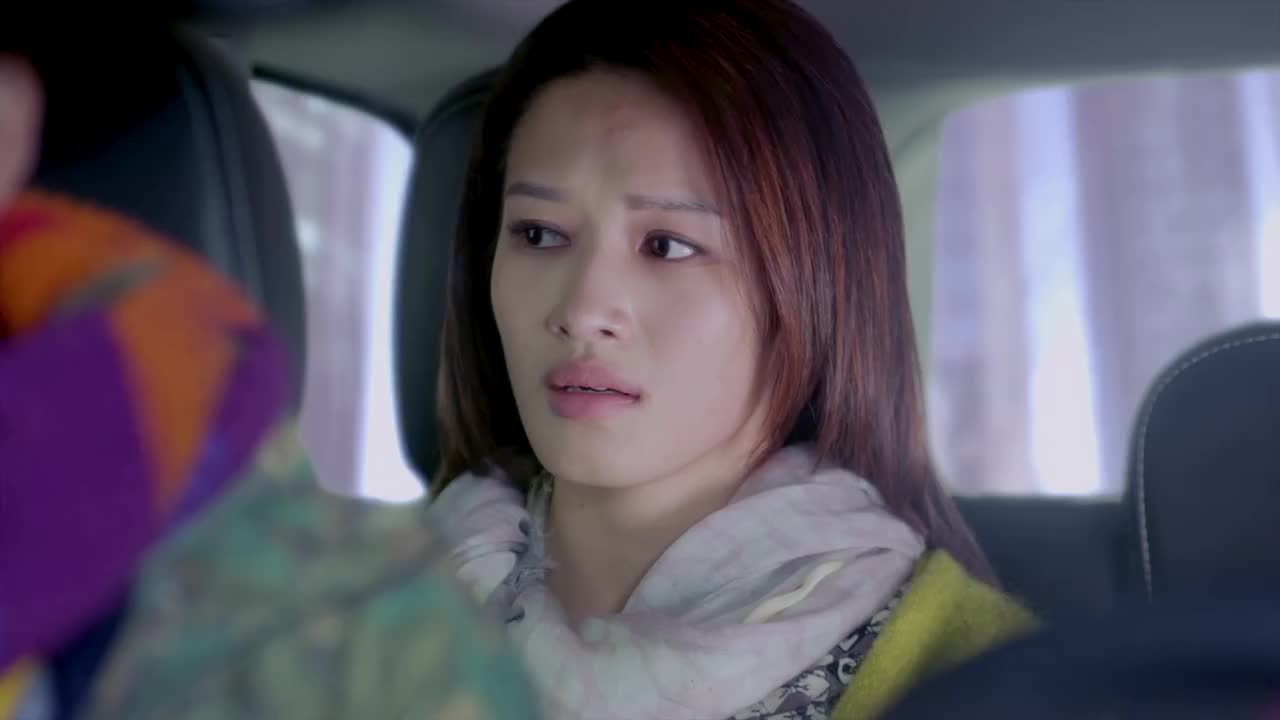 神犬小七富家女心急找狗狗随手帮助流浪汉怎料奇迹发生了