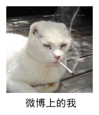 对的,是我本人没错了…… zt