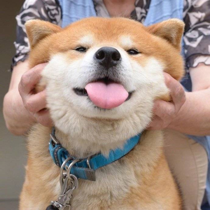 捏捏你的小胖脸zt