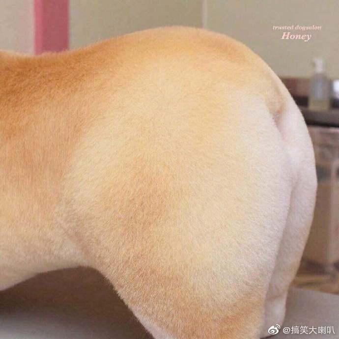 这是我见过最完美的屁屁了!jrs有没有被萌到 zt