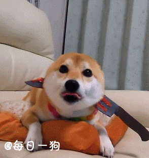 294_312gif 动态图 动图