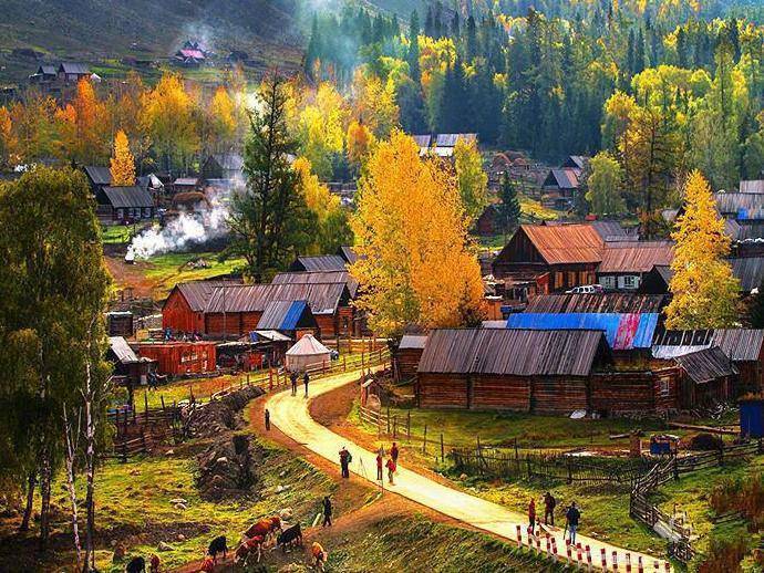 新疆的白哈巴村,位于中国版图最西北角哈巴河县,秋天这个时候真的美